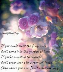 Rumi Hugs - If you can't smell the fragrance don't come... | Facebook