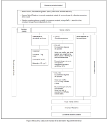 Aunque la principal diferencia se puede apreciar desde la ética y la deontología médica. Manejo Paliativo De La Disnea En El Paciente Terminal