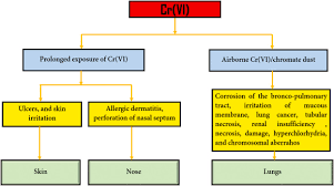 Effect Of Hexavalent Chromium On The Environment And Removal Techniques A Review Sciencedirect