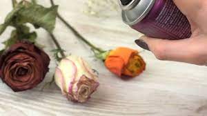 You can preserve the fresh beauty of flowers for years in their natural vivid colors without a great deal of work or expense. 4 Simple Ways To Preserve Flowers In A Jar Wikihow