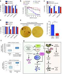 While an irregular period alone might not be cause for concern, a combination of other symptoms along with it could indicate a larger problem. Usp15 Depletion Causes Cancer Cell Death In Ovarian Cancer Cells Download Scientific Diagram