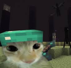 RhinoGaming | Minecraft, but you're cats ✓ Follow @rhinosminecrafthacks for  more!☺️ ✓Other socials- YouTube- RhinoGaming TikTok- OfficialRhinoGaming...  | Instagram