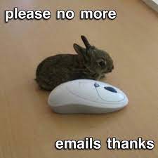 yes, the horrors persist, but so do the bunny memes 📸 @bunny_of_week  @sonny5ideup @honeyfulloflove @ballthebunny #bunnies #memedump #collgehumor