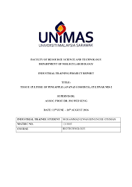 Register as an industrial training student in pfce human resource department. Pdf Industrial Training Project Report Tissue Culture Of Pineapple Ananas Comosus Cultivar Md 2 Mohammad Izwan Enche Othman Academia Edu