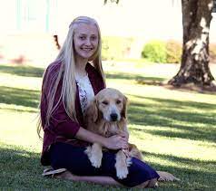 English golden retrievers josi green, english golden retrievers purple boy and english golden retrievers josi brown. About Us Magical Goldens