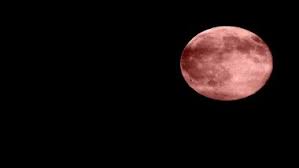 June's 'strawberry' full moon will be the last supermoon of 2021. Strawberry Moon 2021 Visibility Time In India Date Timings In Ist Location Other Important Details About Last Supermoon Of The Year Latestly