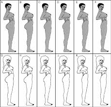 Ever wondered about your bra size equivalent in france or the us? The Stimuli Used In The Present Study Breast Size Small And Large Download Scientific Diagram