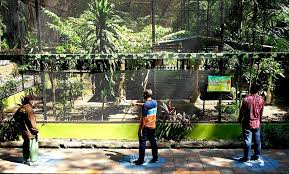 Mudah, nyaman dan bebas komisi transaksi. Kebun Binatang Surabaya Mulai Buka Senin Besok Ini Aturan Untuk Pengunjung Bagian 1