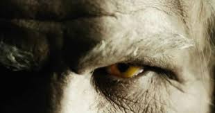 The Spiderwick Chronicles Video Dailymotion