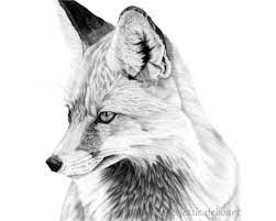 Pin On Graphite Pencil Drawings