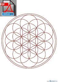 Check spelling or type a new query. Vorlage Orimoto Als Blume Blumenranken Tattoo 20 Schone Vorlagen Fur Diverse