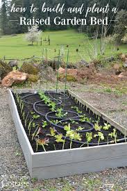 I thought in this post i could provide a brief overview of how to build a cheap raised bed, either for use on your nature strip or in your front or back yards. How To Build Plant A Low Maintenance Raised Garden Bed An Oregon Cottage