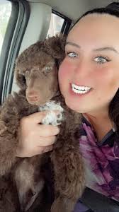 Ezra the most handsome brown abstract boy!!!