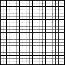 Amsler Grid Test Retina Specialists Of North Alabama Llc