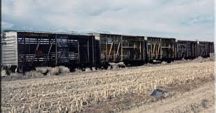 The Cattle Car Railroad Photos Train Car Abandoned Train