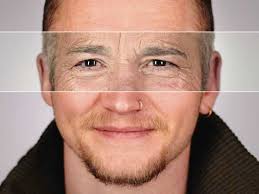 NZ Dating: Buses • Ads of the World™