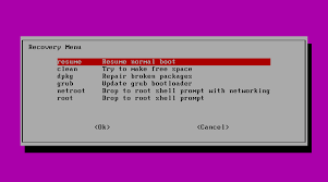 Recover Your System With Single User Mode In Ubuntu Ubuntu 11 10 Itzgeek