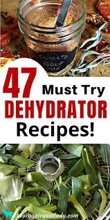 47 Food Dehydrator Recipes The Organic Goat Lady Dehydrator Recipes Dehydrated Vegetables Dehydrating Food Storage