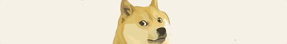 ## the wowest dogecoin memes on the internet since 2014 ## do only good everyday ## dmemes8yre3yvrsuqn9vrgbkutwzzjseje. Dogecoin Gifs Get The Best Gif On Giphy
