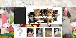 The global community for designers and creative professionals. Al Raziq An I T Company Website Development Software Development Network Solutions Biometric Solutions Cloud Hosting