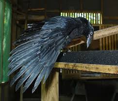 Pin On Holiday Thus And So S