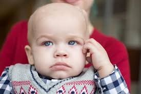 The Anna Schindler Foundation