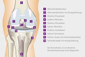 In folge eines unfalls, treten als symptome umgehend. Naturliches Kniegelenk