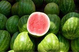 Maybe you would like to learn more about one of these? 29 Gambar Buah Buahan Segar Jenis Jenis Ciri Ciri Dan Penjelasan