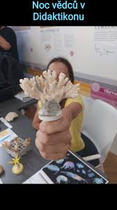 Image result for pokoutnik st job 