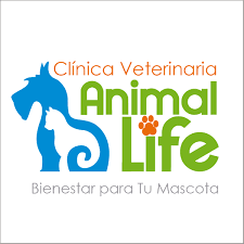 Veterinaria Animal Life
