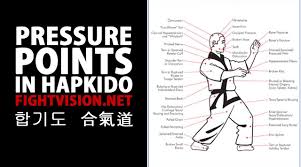 Pressure Points Hapkido Hapkido Martial Arts Techniques Korean Martial Arts