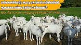 Is e471 halal or haram quora : E471 à®•à®²à®• à®•à®ª à®ªà®Ÿ à®Ÿ à®‰à®£à®µ à®•à®³ à®² à®ªà®© à®± à®• à®´ à®ª à®ª à®•à®²à®¨ à®¤ à®³ à®³à®¤ Youtube