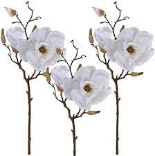 Maybe you would like to learn more about one of these? Amazon Com Winlyn 3 Pcs Silk Magnolia Flowers With Buds Branch Artificial Magnolia Blooms Wedding Flowers Bouquets Floral Stems In White 19 Tall For Vase Floral Arrangement Table Centerpiece Home Decor Home