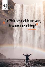 Zitat Zum Sonntag Spruche Zitate Zitate Schone Spruche