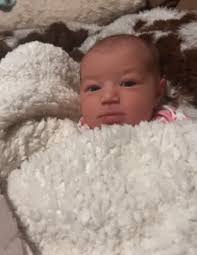 Obituary information for Hazely Ann-Nicole Alcorn