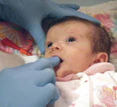 Building the Evidence