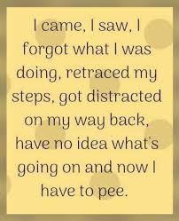 Funny thoughts of the day. Pin By Janet Brignac On Thoughts Of Many Funny Quotes Sarcastic Quotes Quotes