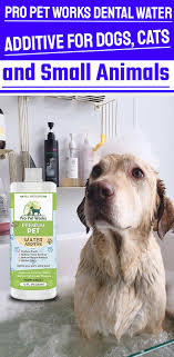 Pro Pet Works Dental Water Additive For Dogs Cats And Small Animals 17 Oz Small Pets Dog Breath Remedy Dog Breath