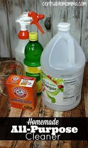 Homemade All Purpose Cleaner Nettoyage Nettoyant Nettoyeur