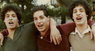 We did not find results for: The Sinister True Story Of The Triplets Separated At Birth As Part Of Cruel Social Experiment