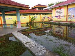 Beberapa diantara kita pasti tidak menyadari keberadaan tanaman ini. 39 Cat Pagar Taman Sekolah Yang Banyak Di Cari