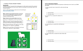 Genetics is the study of heredity and variation in organisms. Activity 1 Basic Genetics Inheritability Lab Chegg Com