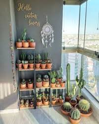#succulent_path #serragardens_succulents welcome to the famous dave's garden website. 130 Herbology Dendrology Ideas In 2021 Plants Herbology Planting Flowers