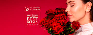 High Connection Flowers updated their cover photo.