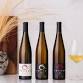 Brooks University - Legends of Riesling event image