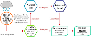 His maternal grandparents are wan ahmad wan ali and wan zainab wan abu bakar. Heavy Metals In Leachate Impacted Soils And Natural Soils Of Different Landfills In Malaysia An Alarming Threat Sciencedirect