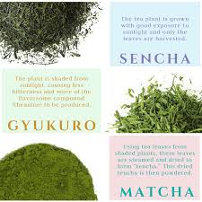 Pin By Agy On Teaku Sencha Green Tea Green Tea Bags Japanese Green Tea