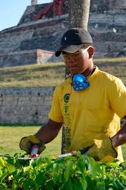 Escuela de español nº1 en murcia y con 20 años de experiencia. Nericyctioflyccont S Diary