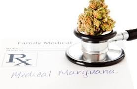 Get your ny medical marijuana card online now. Get A Medical Marijuana Card In New York 100 Online