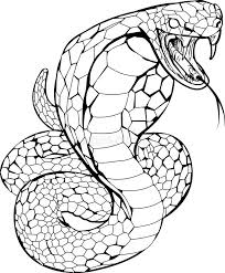 Cobra Snake Illustration Black And White Illustration Of A Cobra Snake Preparin Affiliate Snake Coloring Pages Bird Coloring Pages Online Coloring Pages